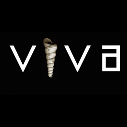 Компания Интерьер & Дизайн Viva в Курске